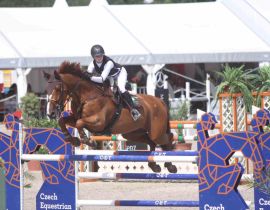 13521998 1121322114578393 5400004631182317559 N