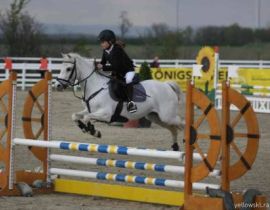 Obrorig Sonnenhof 9 Poharu Za Vikend 43